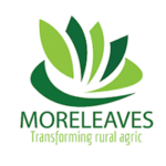 moreleaves